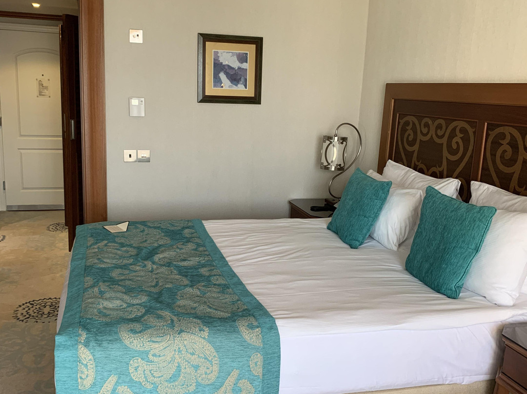 The Arkin Colony Hotel主图