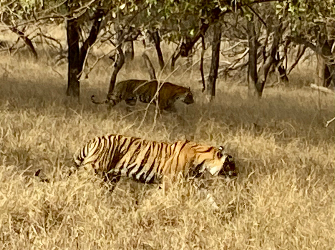 Hada Safaris-本迪必去景点