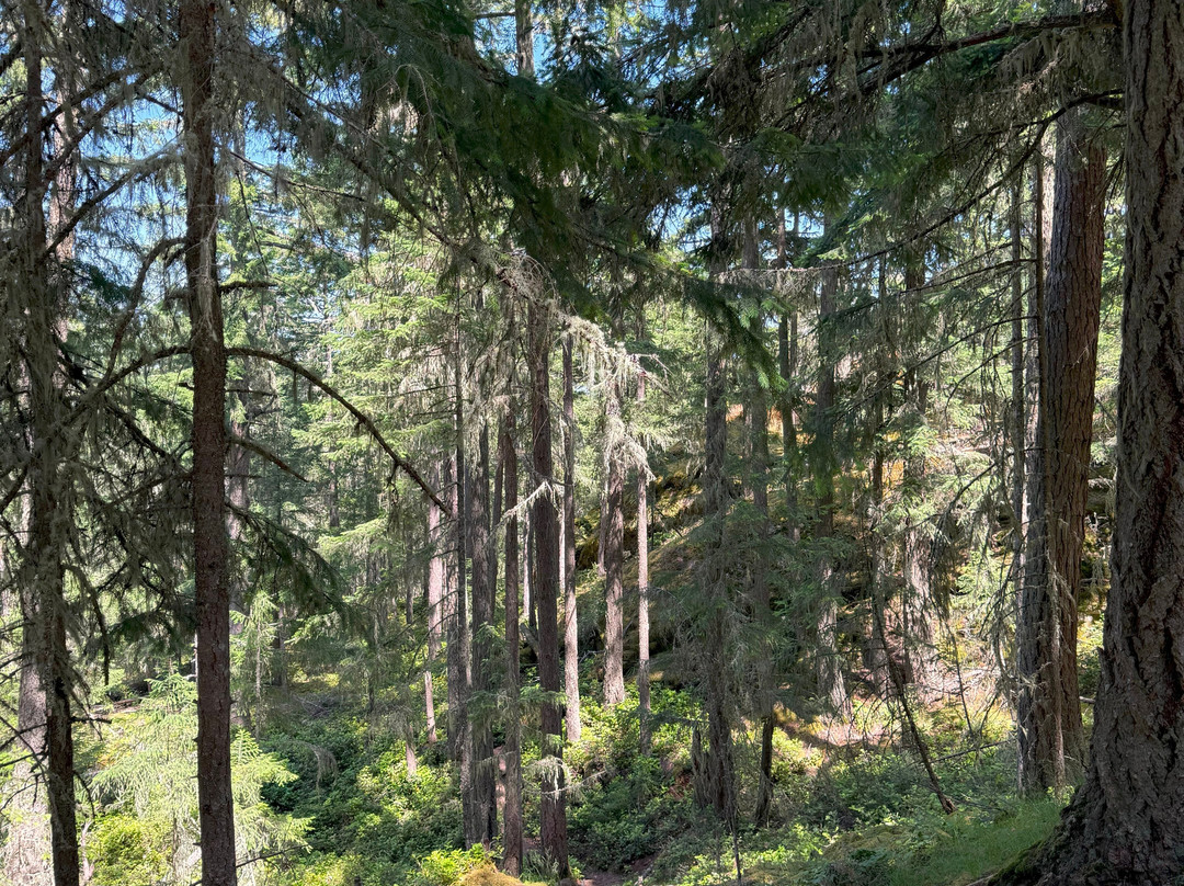 Mt Erskine Provincial Park-盐泉岛必去景点