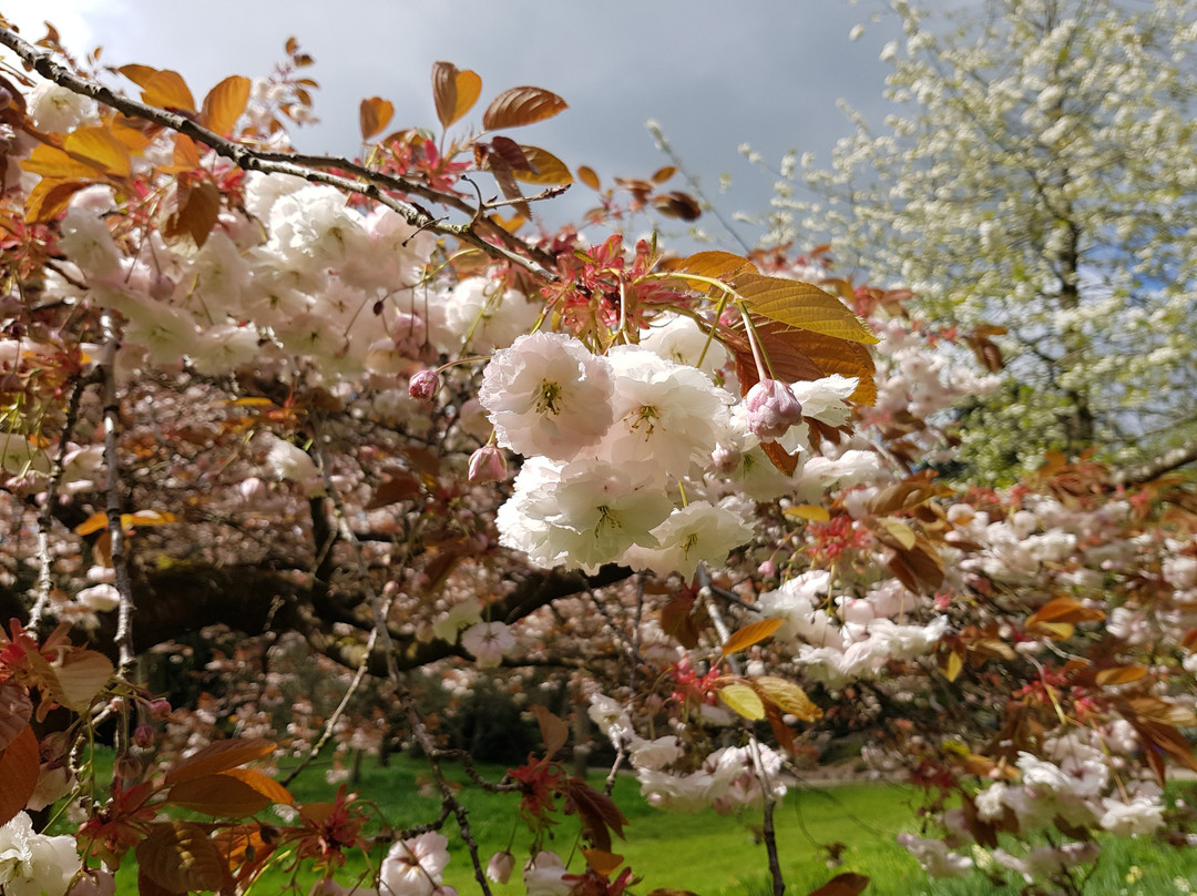 Newby Hall and Gardens-里彭必去景点