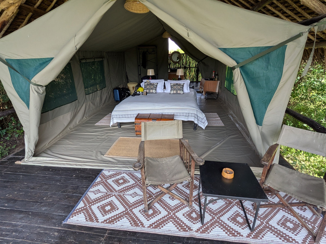 Amazing Africa Tours景点图片