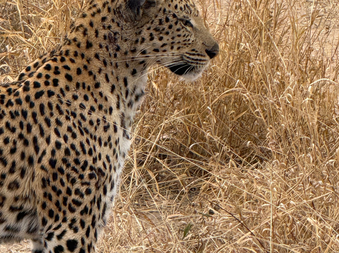 Shimungwe Lodge主图