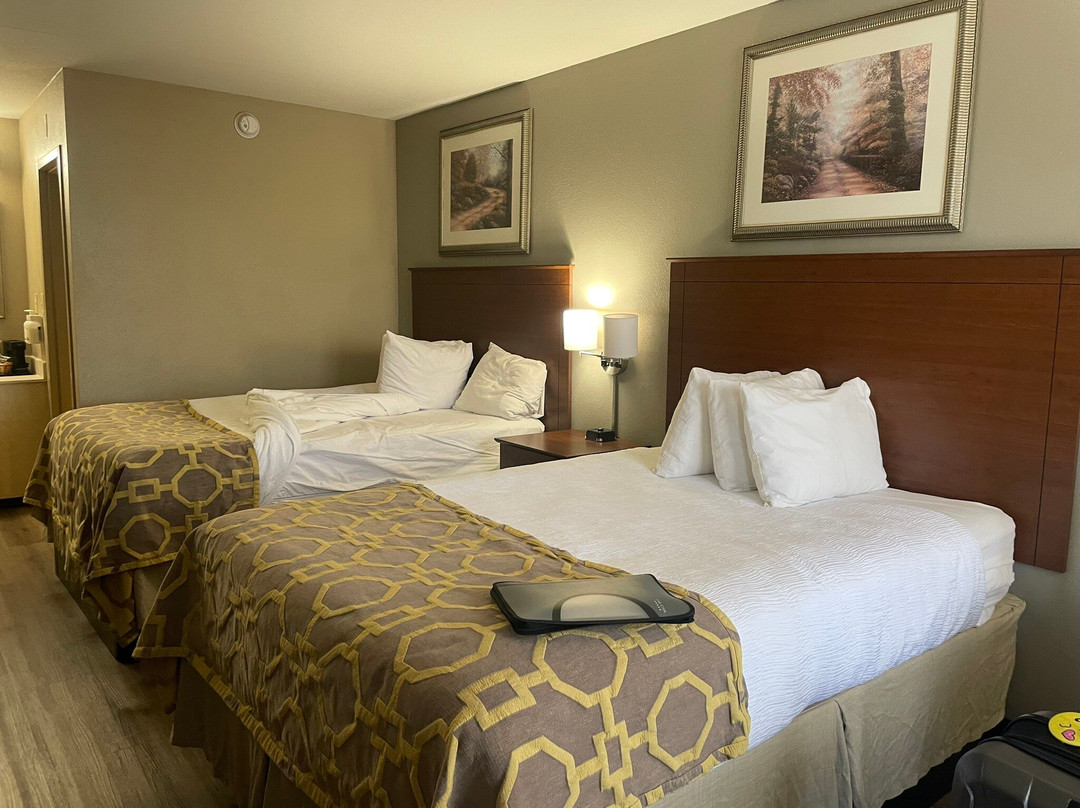 黑斯贝蒙特旅馆套房酒店主图