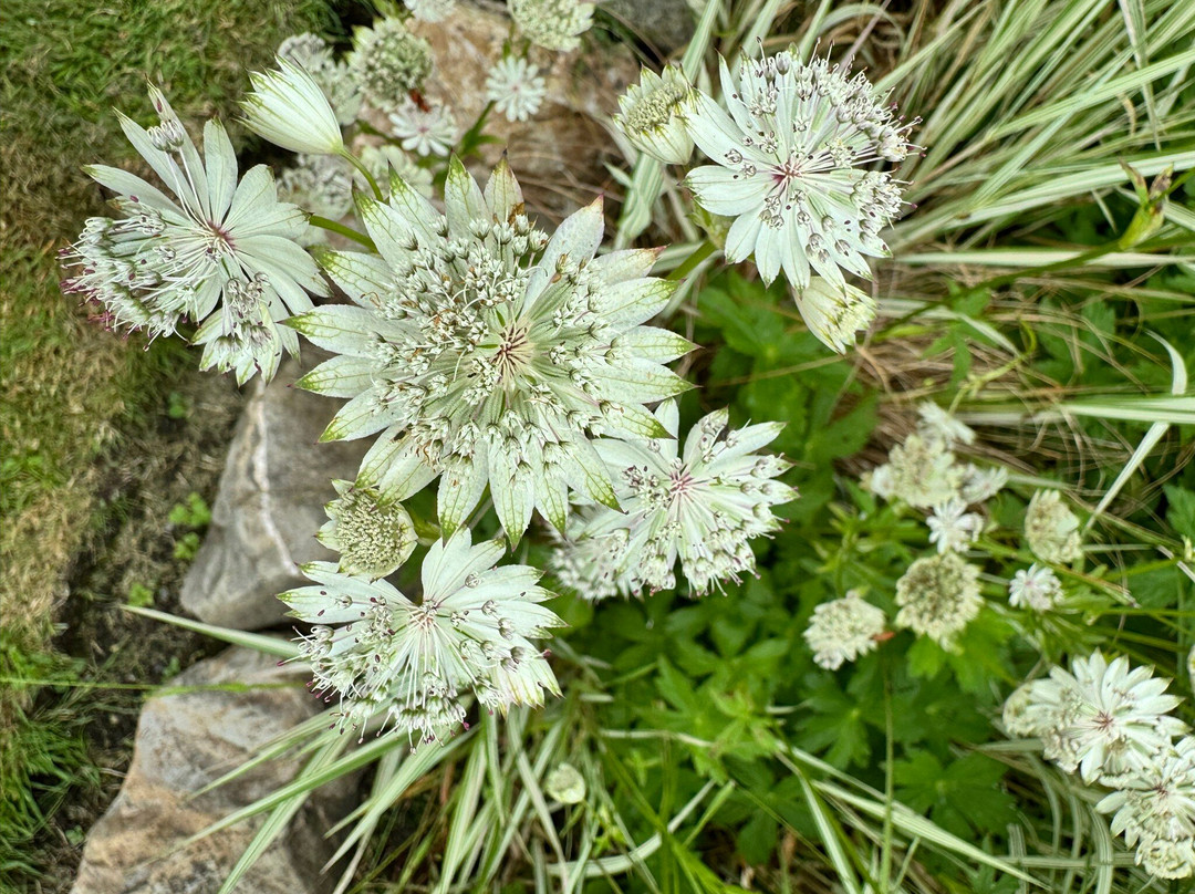 Colby Woodland Garden (National Trust)-Amroth必去景点