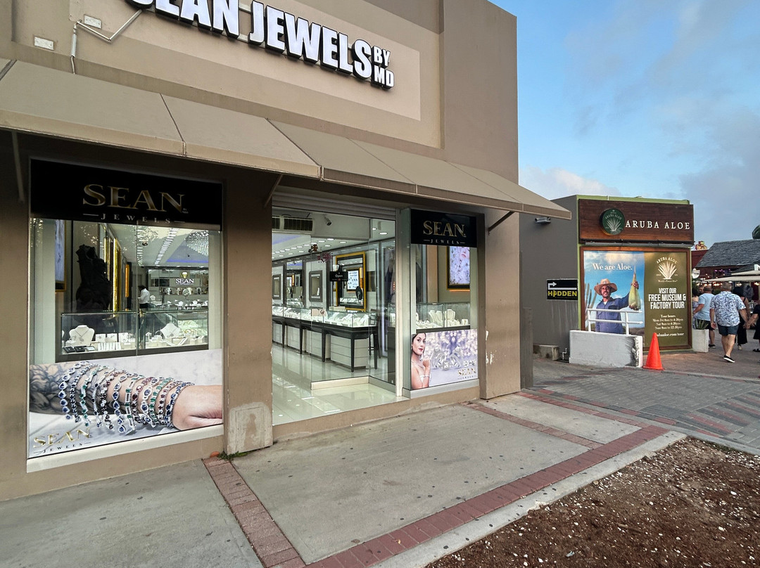 Sean Jewels-棕榈/鹰海滩必去景点