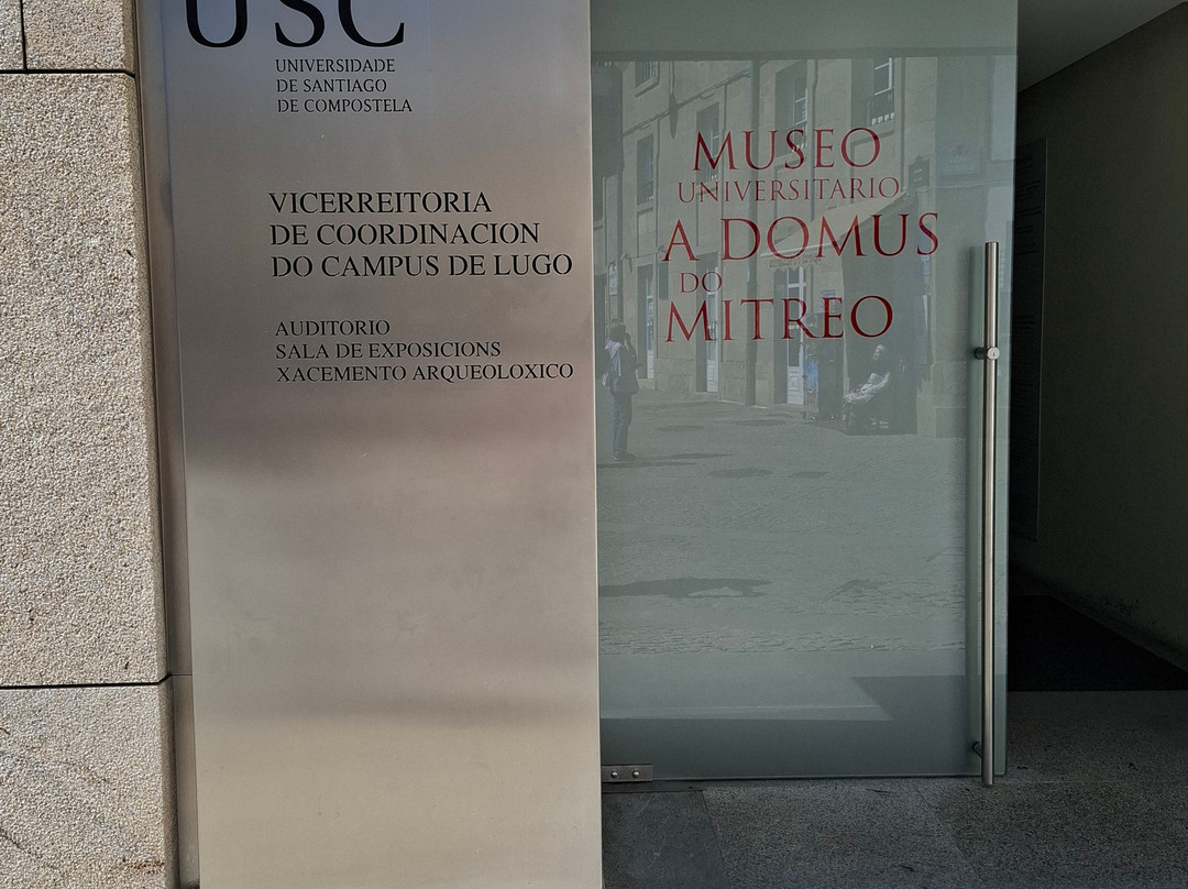 Domus del Mitreo-卢戈省必去景点