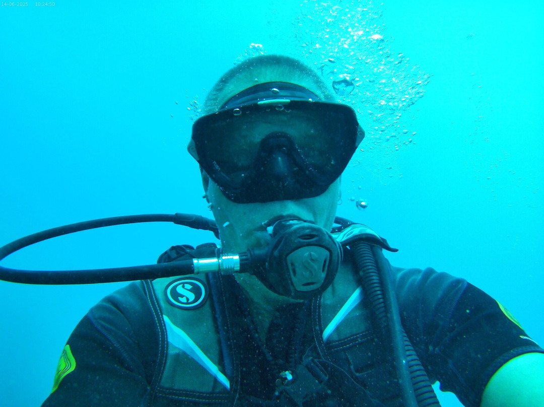Dive Time-贝尔马尔必去景点