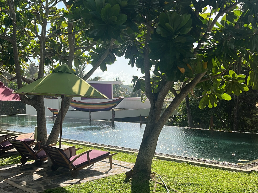 Underneath The Mango Tree主图