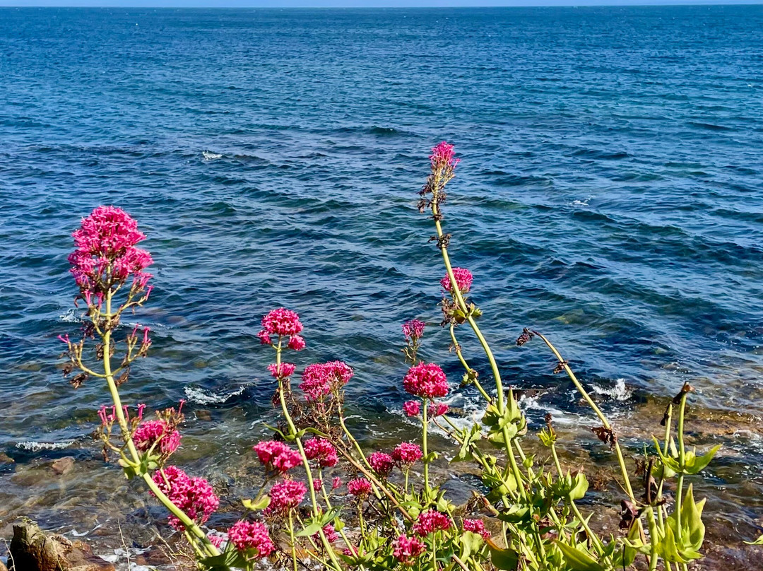 Fife Coastal Path-法夫郡必去景点
