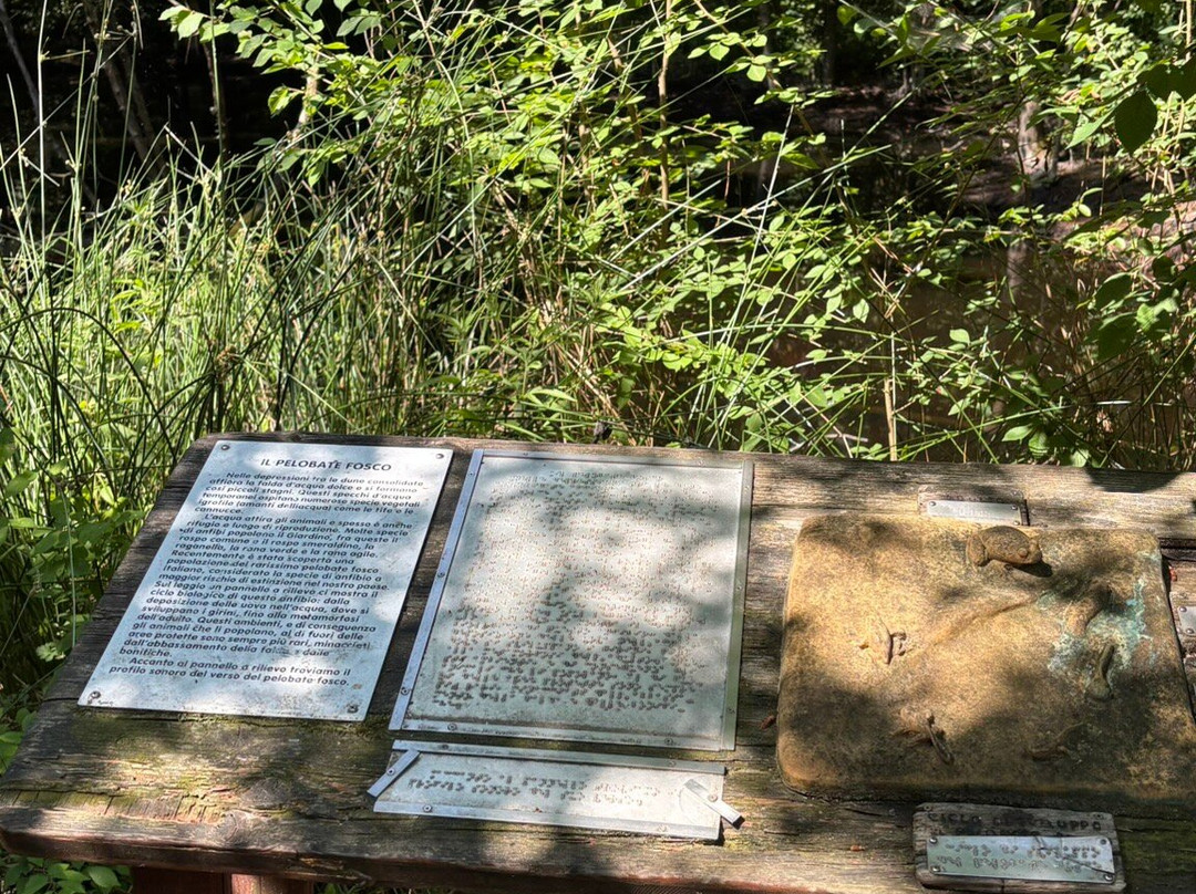 Giardino Botanico Litoraneo di Porto Caleri-罗索利纳必去景点