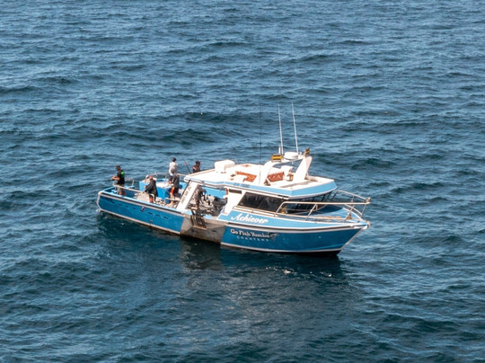 Go Fish Yamba Charters