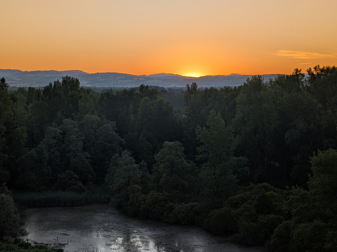 Aura Montgolfière-Chatillon-sur-Chalaronne必去景点