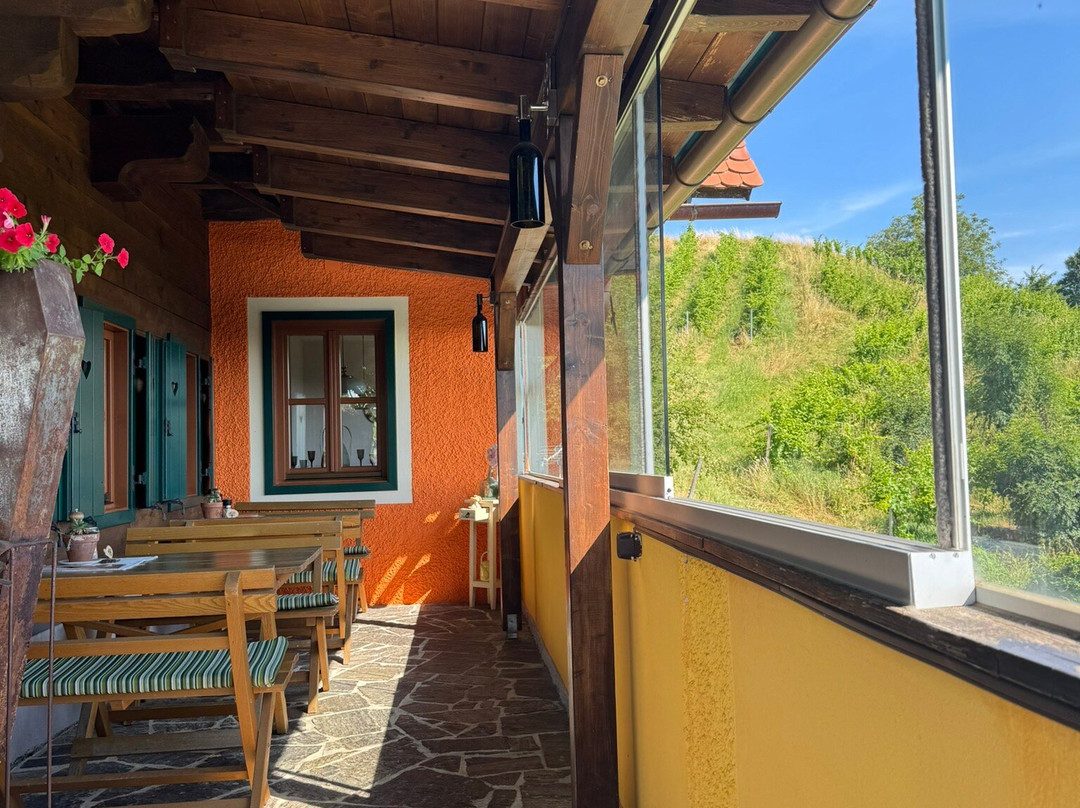 Wohlmuth-Lückl主图