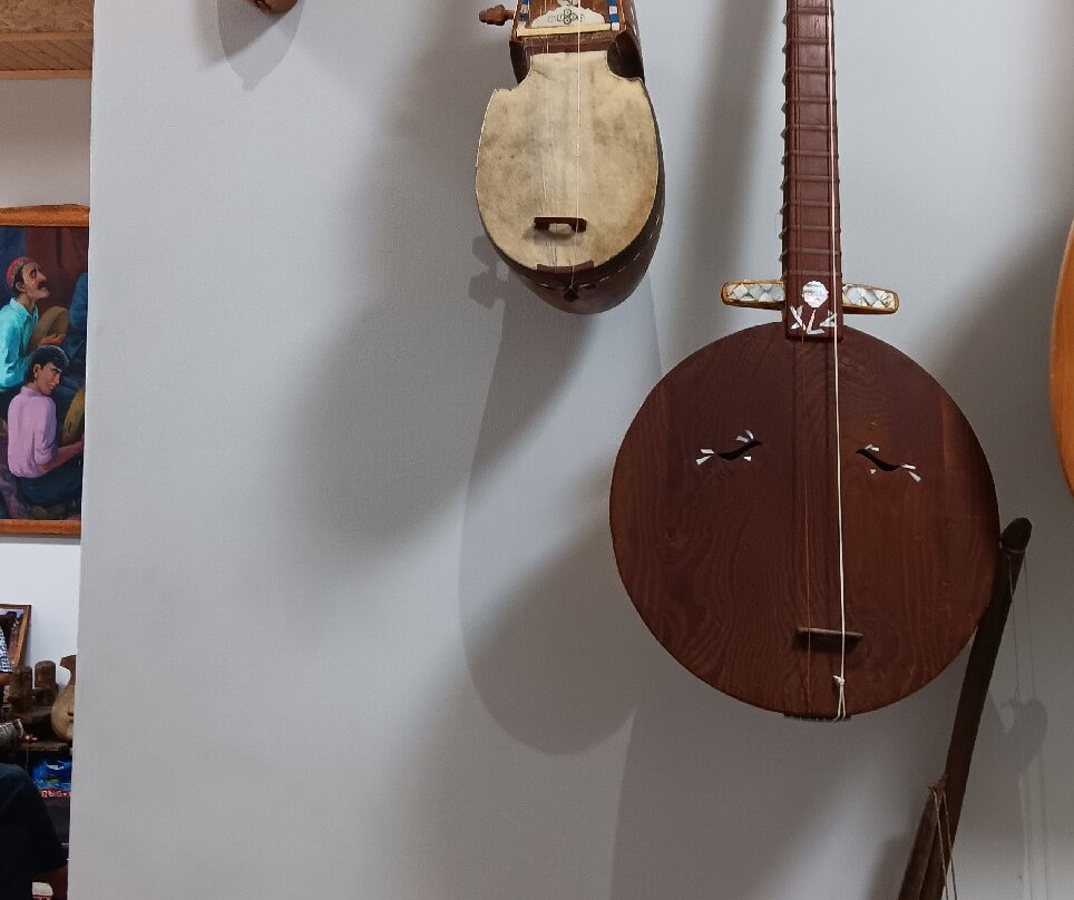 The Ziyodullo Shahidi Museum Of Musical Culture-杜尚别必去景点