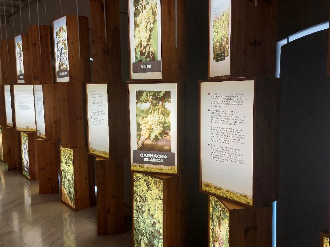 Museo del Vino-Olite必去景点