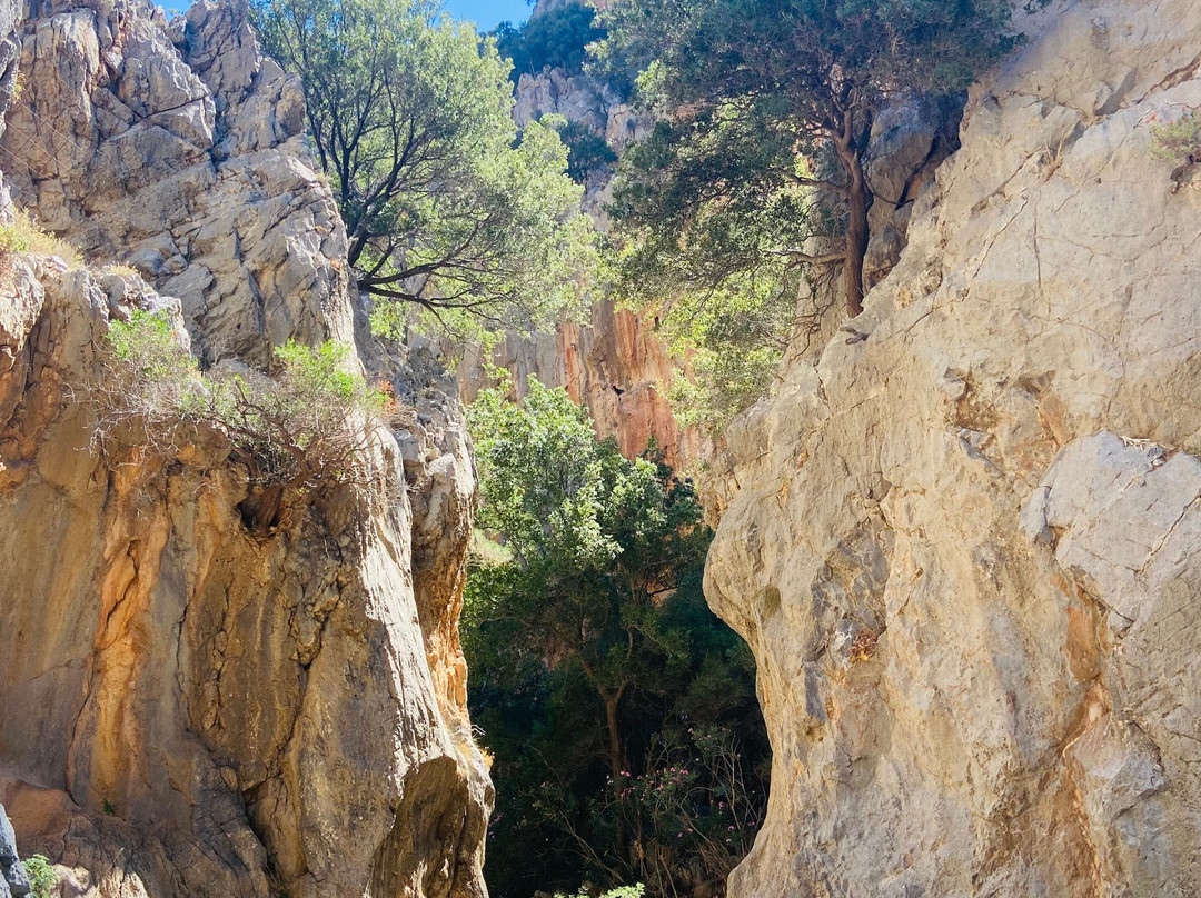Kritsa Gorge-Kritsa必去景点