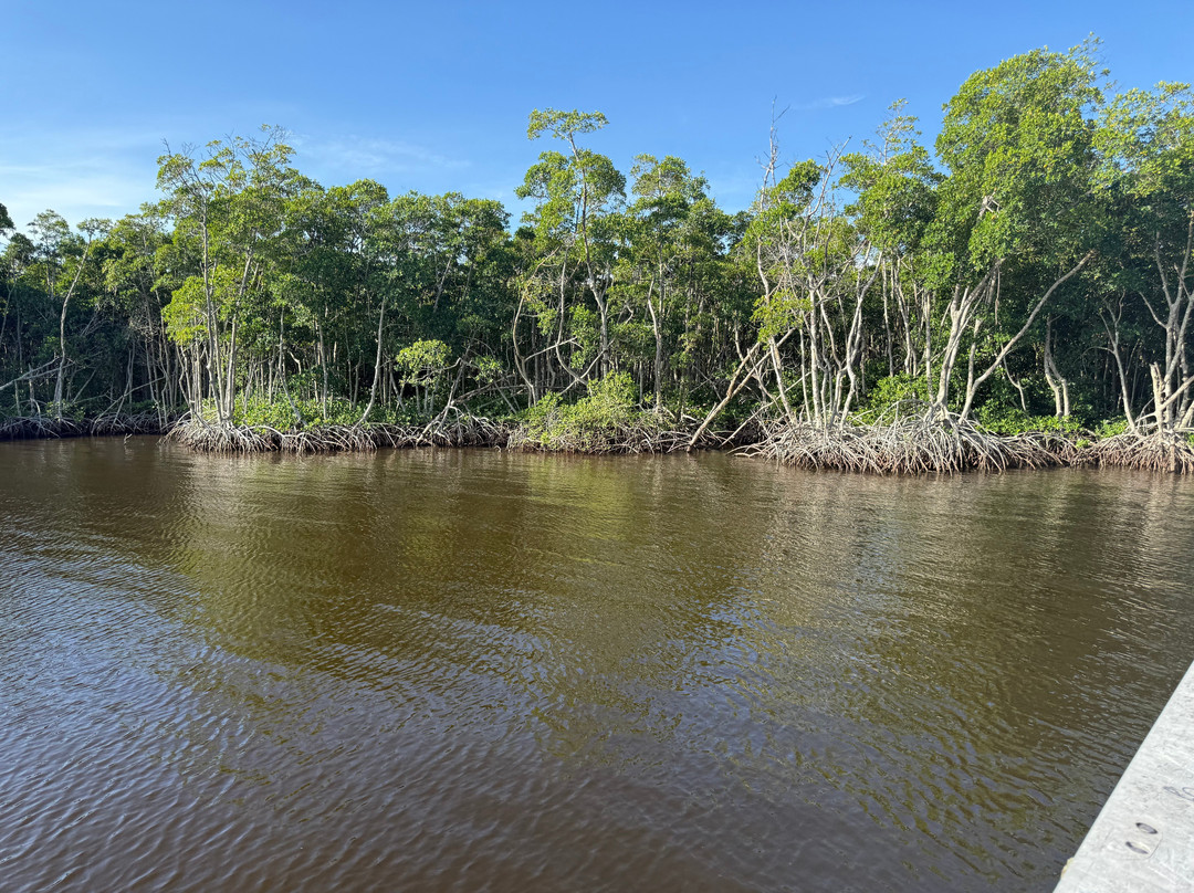 Four Mile Cove Ecological Preserve-开普科勒尔必去景点