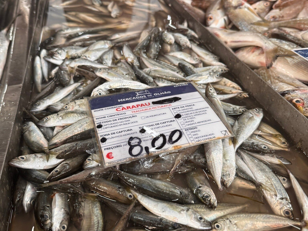 Mercado de Olhao-奥良必去景点