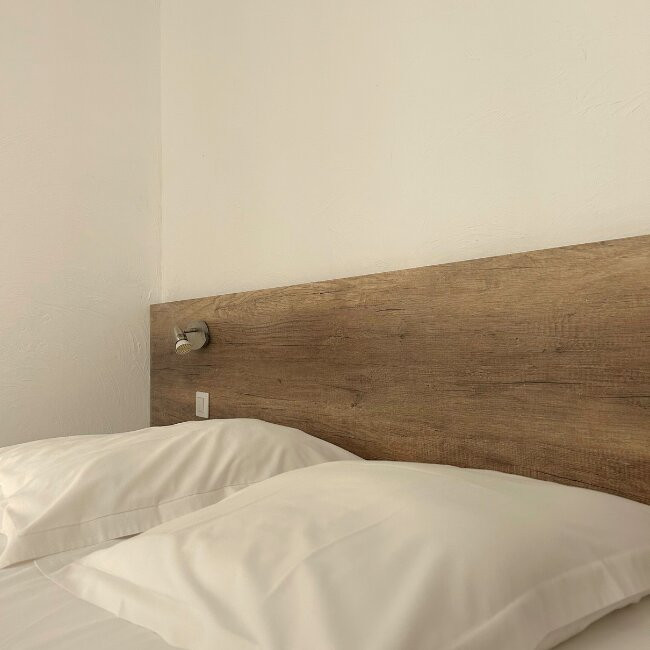 Hotel Le Carnon主图