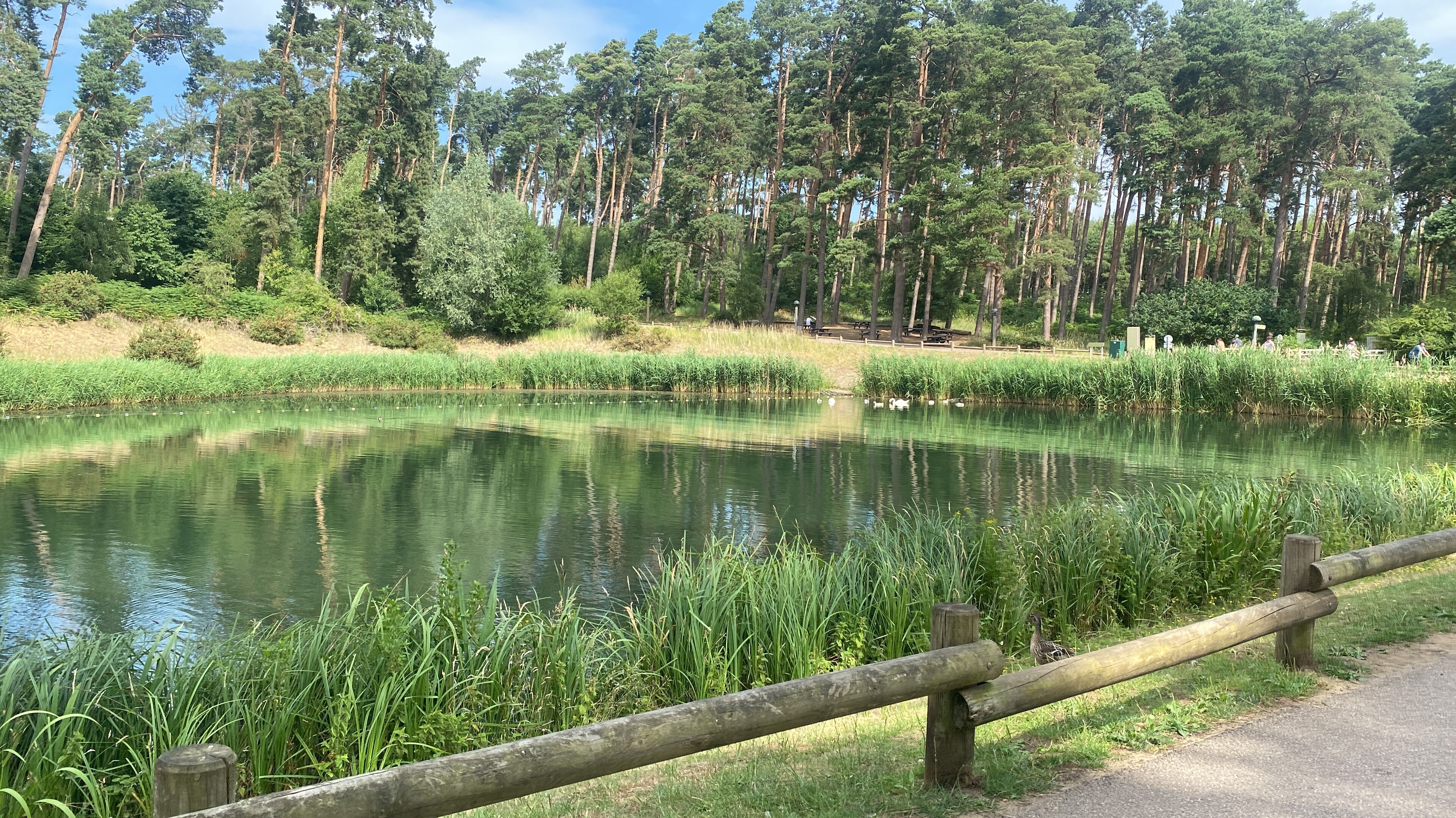 Center Parcs Woburn Forest-浴室