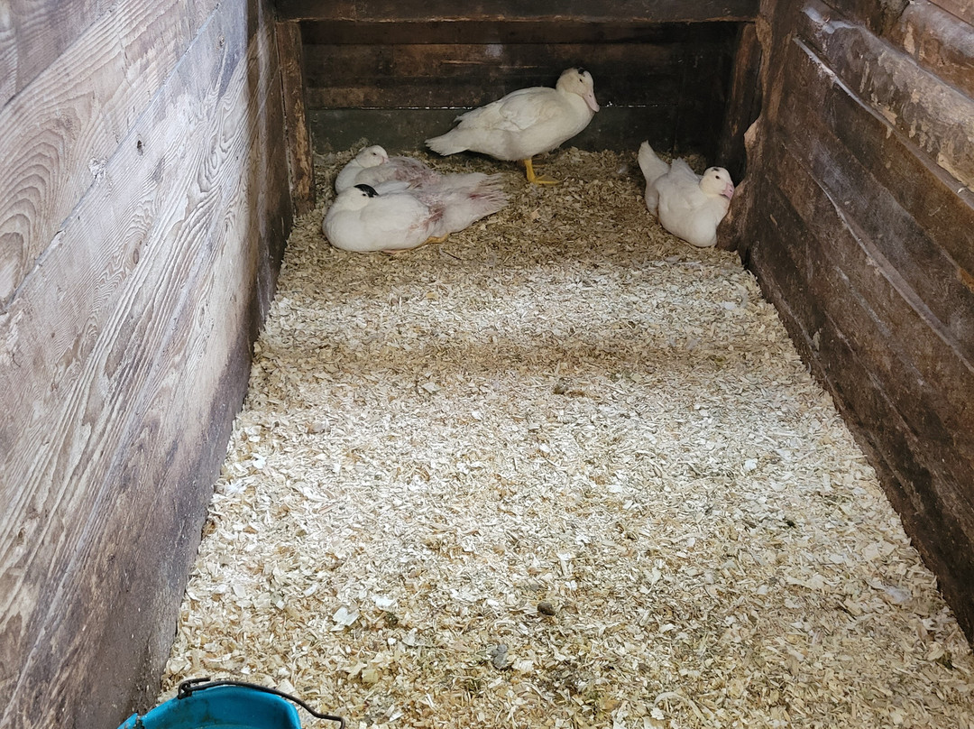 Ferme des Petits Torrieux-Frontenac必去景点