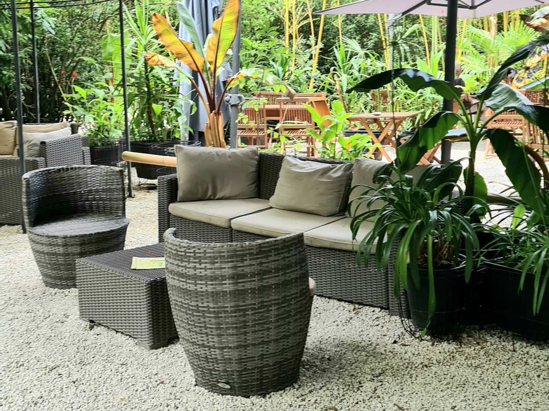 Bambousaie de La Roque-Gageac-La Roque-Gageac必去景点