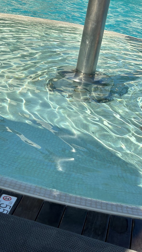 Hotel Cambridge-官方