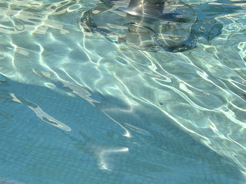 Hotel Cambridge主图