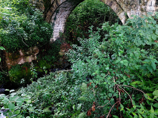 BatumiFun-巴统必去景点