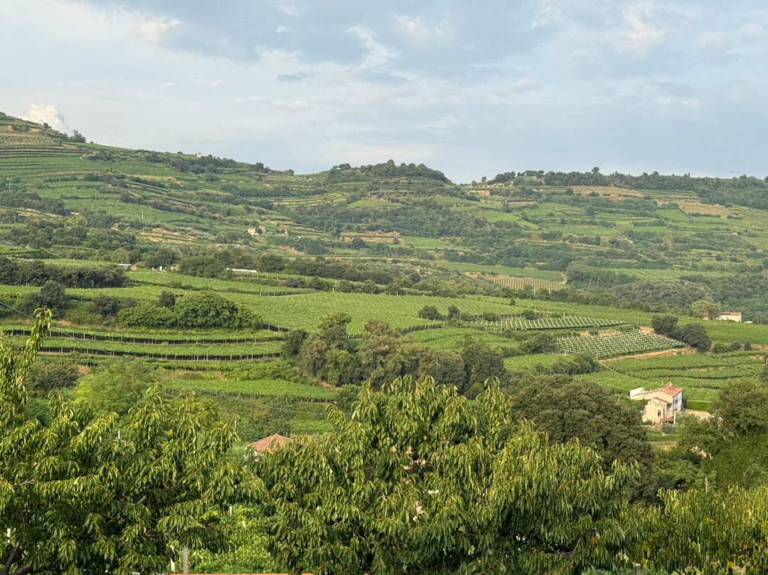 Corte dei Soavi主图