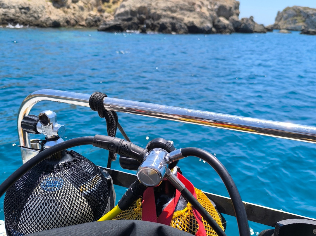 Seahorse Dive Center-瓦里必去景点