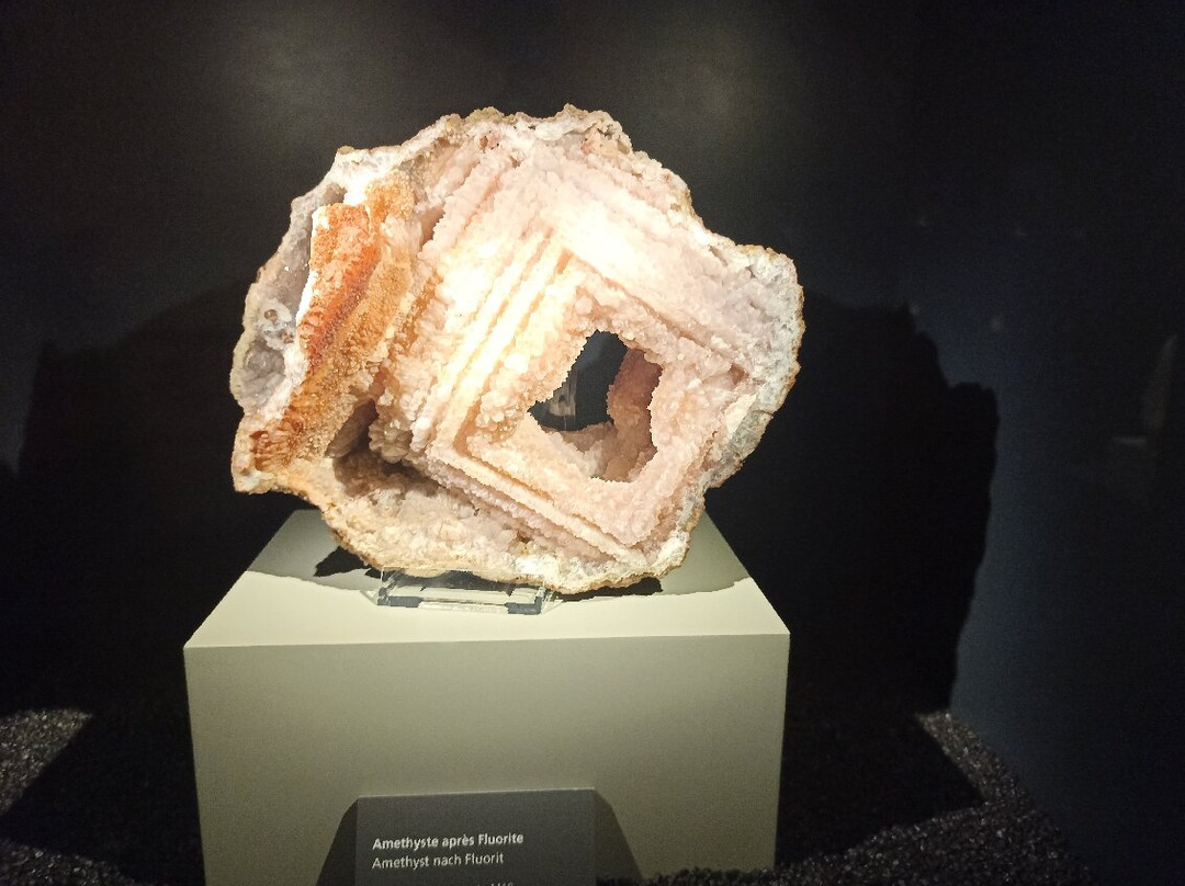 Luxembourg National Museum of Natural History-卢森堡城必去景点