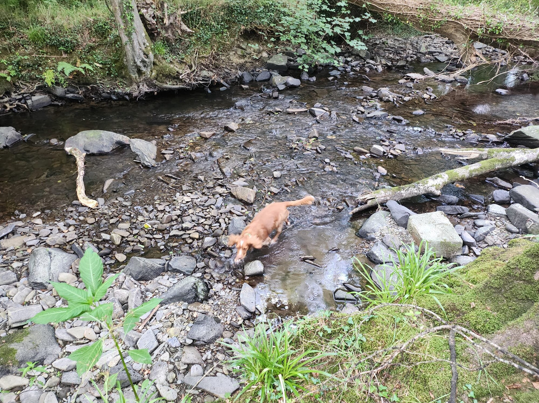 Llaethliw Vineyard-Ciliau Aeron必去景点