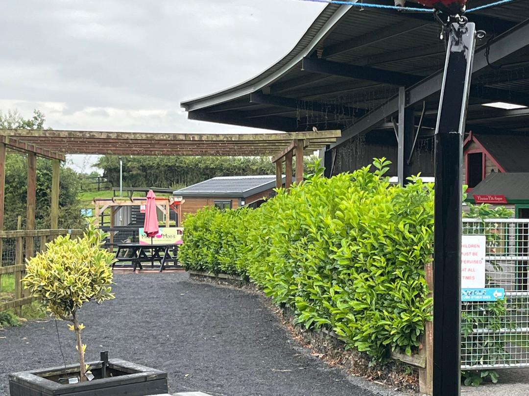 Mollie Moo's Pet Farm-Mullingar必去景点