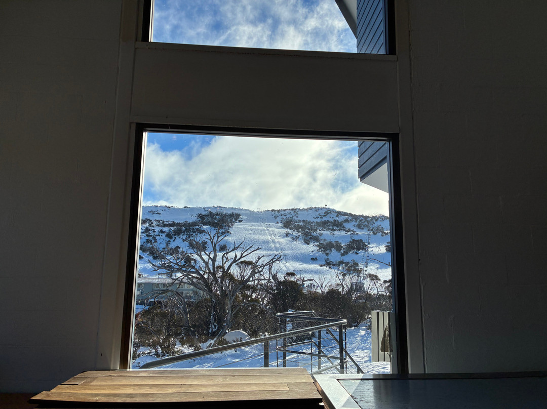 Snowy Gums Smiggins主图