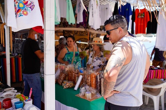 Obi Tours-瓦拉塔港必去景点