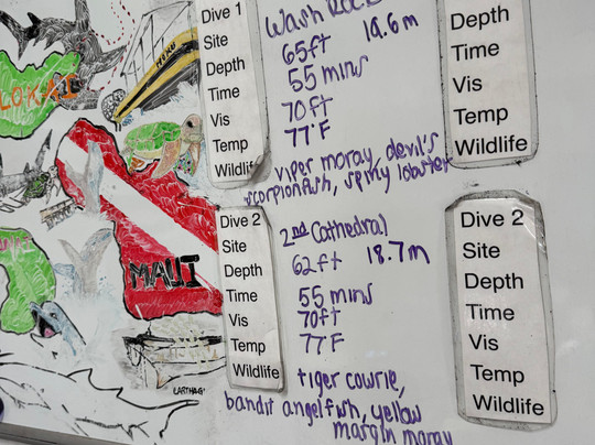 Dive Maui-拉海纳必去景点