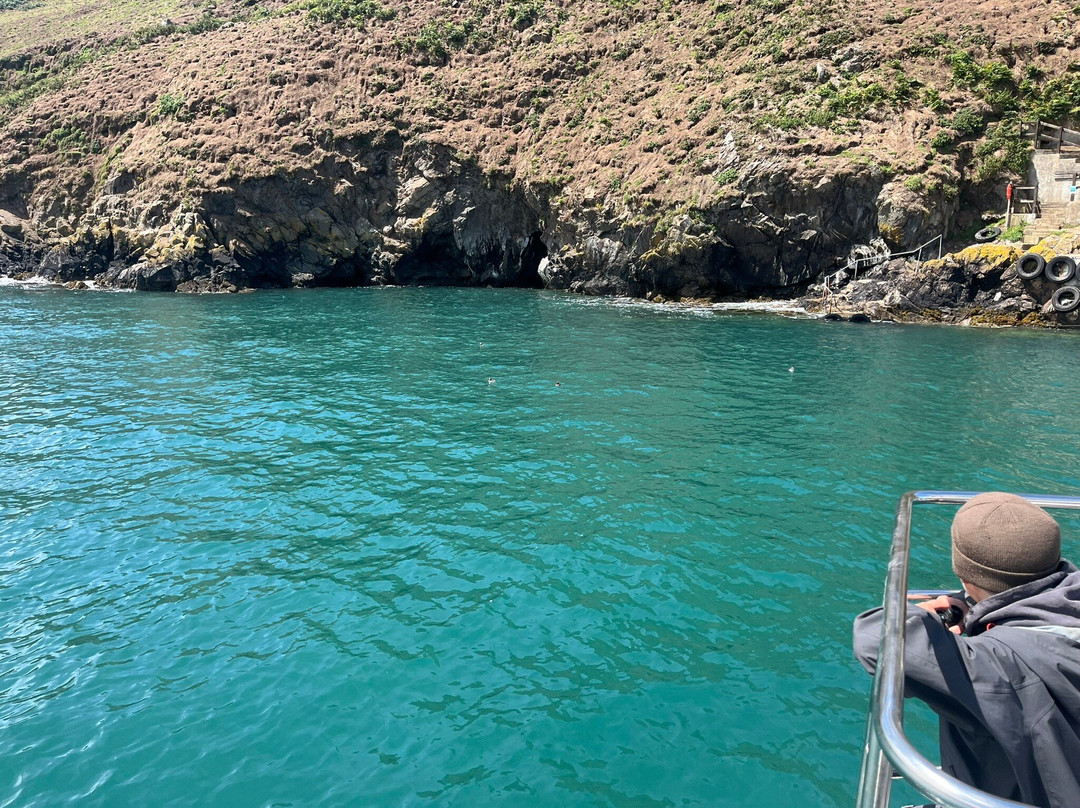 Pembrokeshire Islands Boat Trips-Marloes必去景点