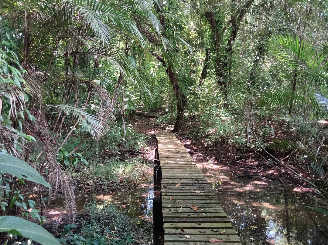 Hacienda Baru Lodge-主日镇必去景点