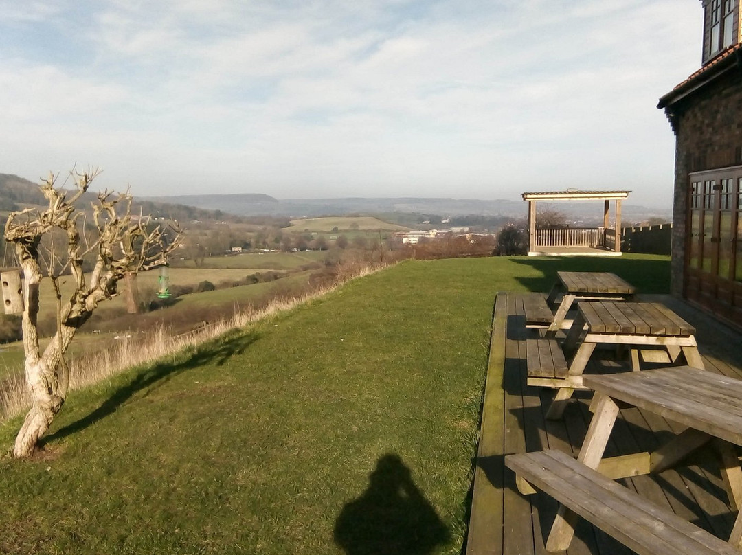 Stepney Hill Farm-斯卡伯勒必去景点