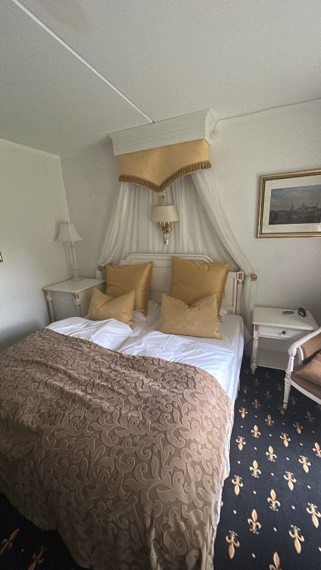 Sauntehus Castle Hotel-官方