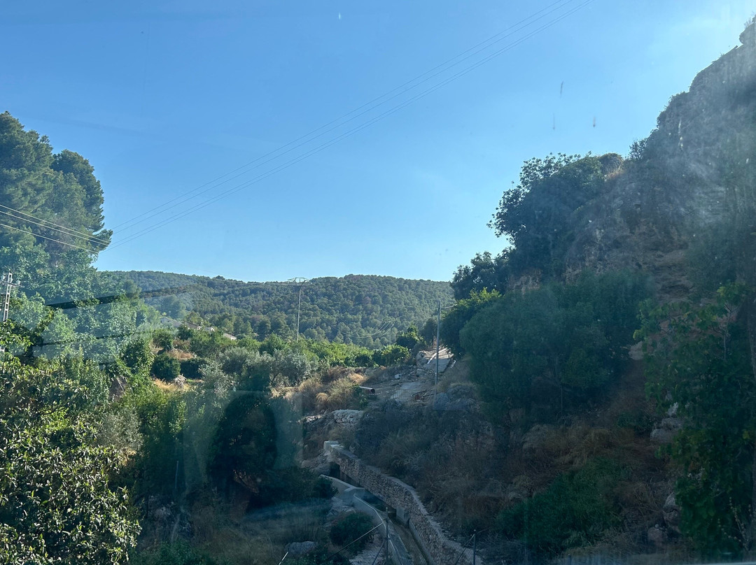 Hospederia Bajo el Cejo主图