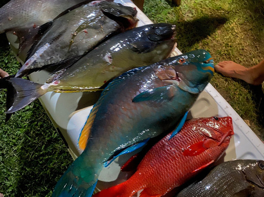 Pension Villa Enata主图