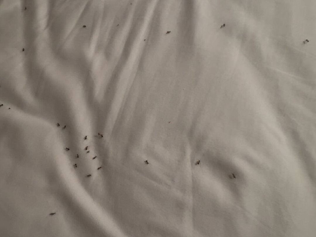 Ace Hotel Troyes主图