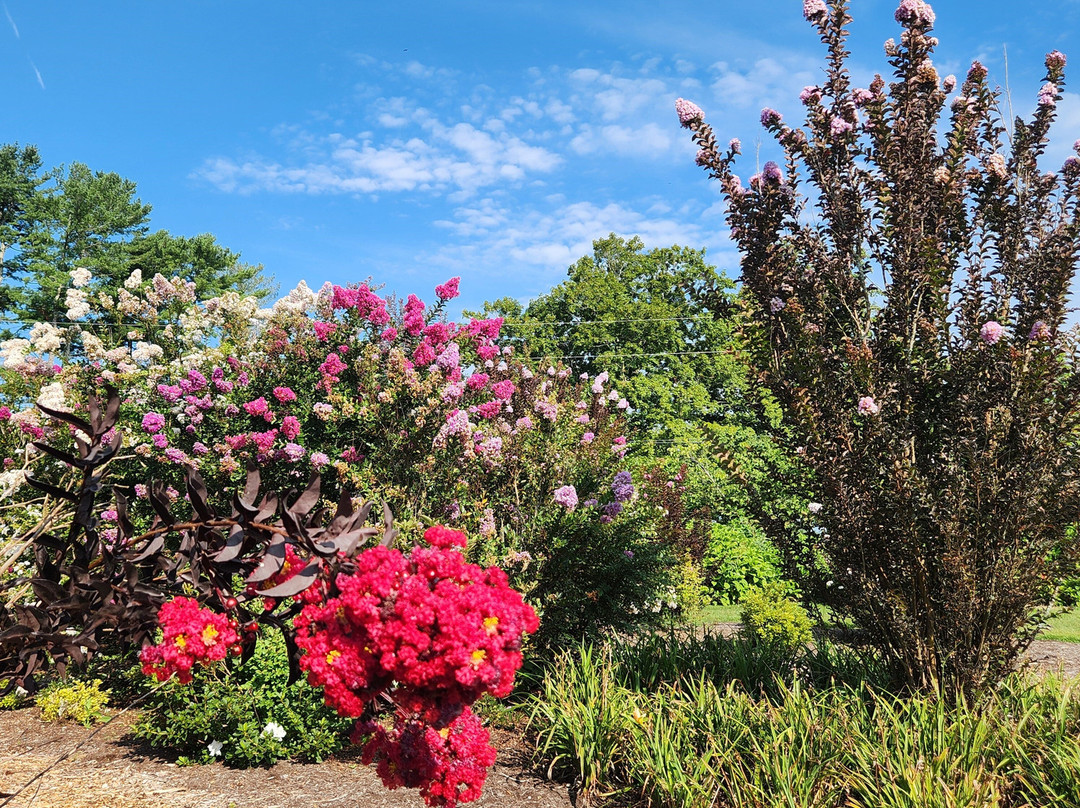 UT Gardens: Crossville, The Plateau Discovery Gardens