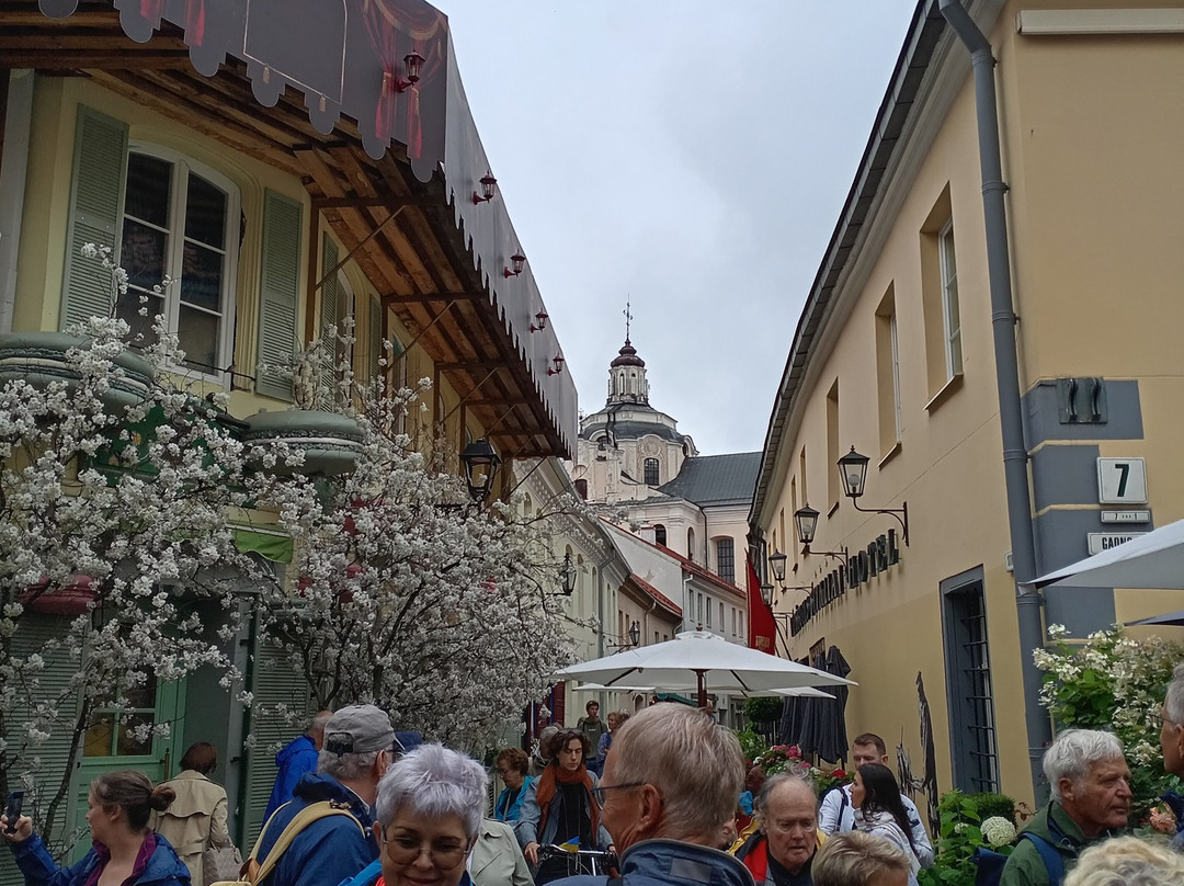 Yellow Vilnius Free Walking Tour-维尔纽斯必去景点