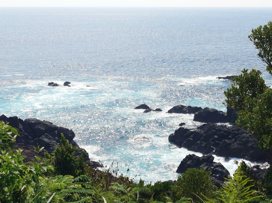Cape Shionomisaki-串本町必去景点