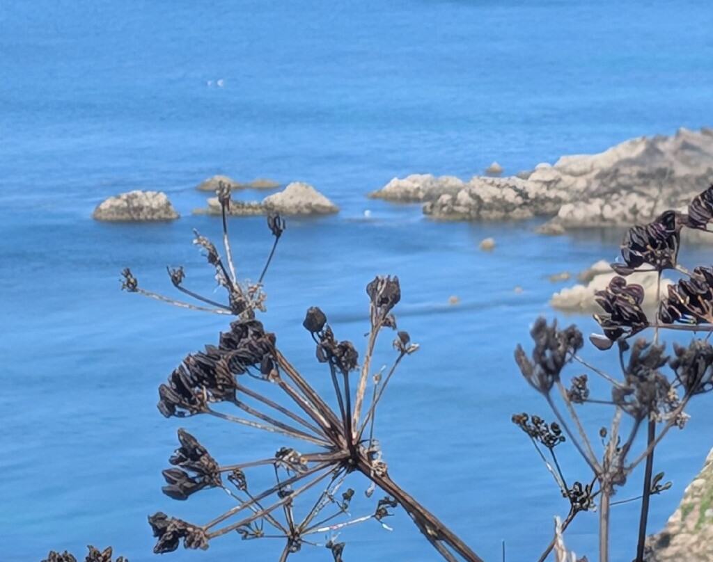 Burton Farmhouse主图