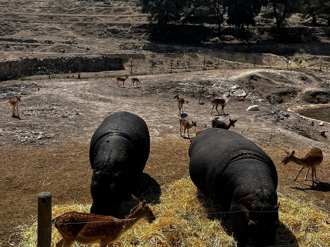 Safari Aitana-Penaguila必去景点