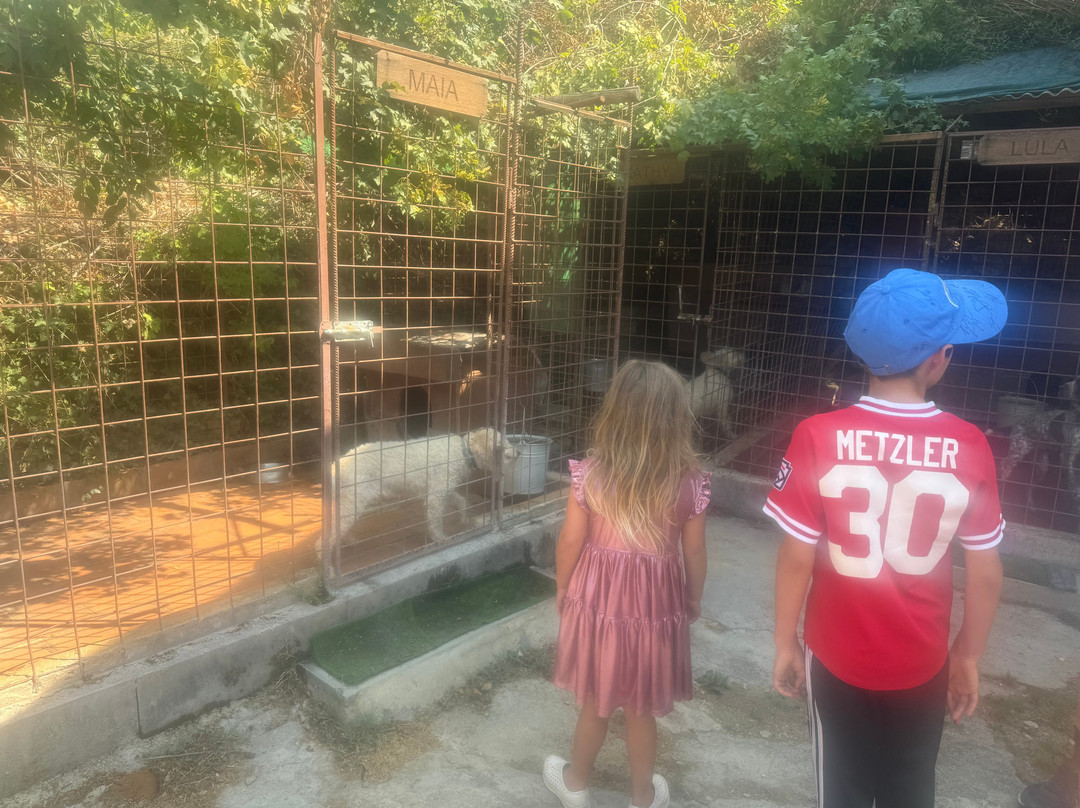 Azienda Agricola Villa Magna Tartufi-阿雷佐必去景点